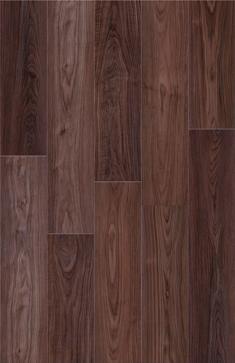ANISE OAK